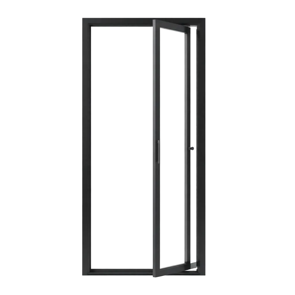 Porta Pivotante